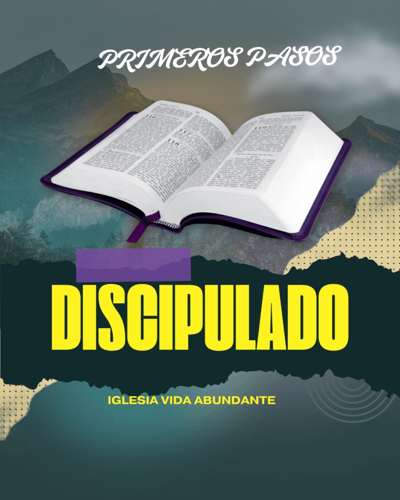 primeros pasos primeros pasos